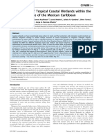 Carbon Stocks of Tropical Coastal Wetlands Within The