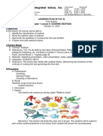 Q1-Learning Plan in TLE-10