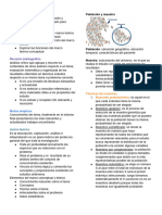 Metodología de La Investigación s2