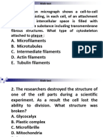 Lec 04 Cytosol Inclusions Translation