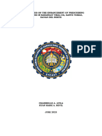 Policy Analysis On The Enhancement of Prescribing Curfew Hours in Barangay Tibal-Og, Santo Tomas, Davao Del Norte