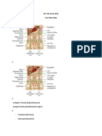 Git 301 Final 2021 Section Two