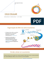 II - Ciclo Celular