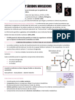 Nucleótidos y Ácidos Nucleicos