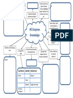 Enzymes Mind Map