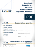 Anestesia Inhalatoria y Técnicas Anestésicas en Pequeños Animales