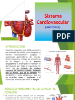 Aparato Cardiovascular