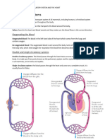 Circulatory System and Heart Biology Summarisation.