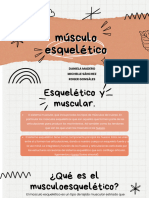 Músculo Esquelético