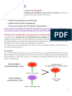 Lectura-Leyes de Mendel