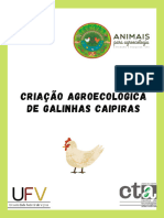 Criacao Agroecologica de Galinhas Caipiras 398