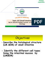 The Small Intestine PDF