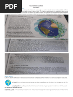 Taller Patrones Climáticos Del Planeta.1