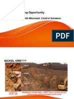 Nickel Ore Mine Opportunity