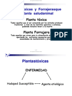 122-Forrajeras Toxicas ISEA