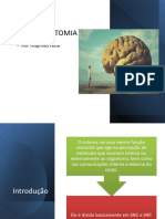 NEUROANATOMIA Aula 1