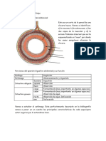 Actividades de Aprendizaje Digestivo 1