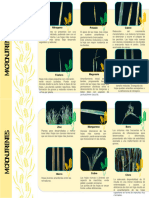 Deficiencias Nutrimentales Del Trigo - Carrasco - Jefferson