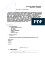 Estructura Proceso Enfermero 2023 II (2) .... Luzdina Caruajulca Adulto I