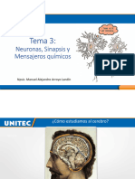 Semana 3 NEURONAS