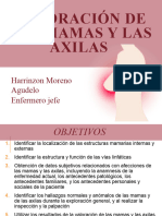 Valoración de Las Mamas y Las Axilas