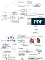 Mapas Conceptuales