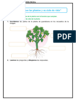 Conocemos Las Plantas y Su Ciclo de Vida SEMANA 4 - 29 de Marzo