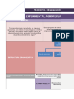 E1 CONDORIRI Proyecto. Avance 06-10