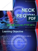 Neck Region