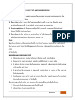 Homeostasis and Excretion