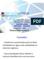 Lipidios