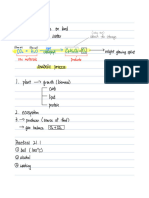 Photosynthesis Ch21