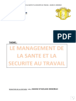 Resume de La Thematique - Management de La Sante Et La Securite Au Travail