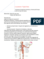 Aparato Locomotor