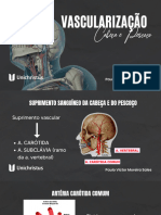 VASCULARIZAÇÃO - Paulo Victor