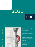 SEGD