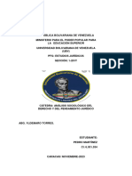 Trabajo de Analisis Sociologico Pedro Martinez