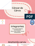 Cáncer de Cervix