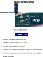 Physiologie Du Neurone