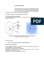 Membrane Plasmique