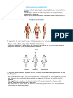 Abrir Anatomía Era 1 Locomotor 36