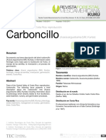 Carboncillo