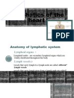 Lymphatics of The Heart