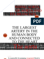 Ascending Aorta, Arch of Aorta and Its