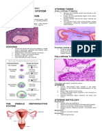 HISTOLOGY-NOTES-by-Red Reproductive