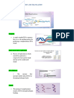 DNA Replication Transcription and Translation TRANSES