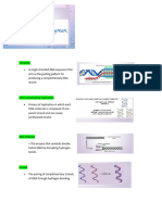 DNA Replication Transcription and Translation TRANSES 1