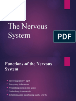 The Nervous System 1