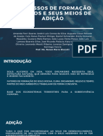 Processos de Formação de Solos e Seus Meios de Adição