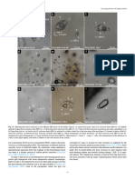 Ore Geology Reviews 143 (2022) 104724 Ma.I. Hermo Et Al